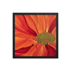 Framed Print - Soft, Sweet Fire