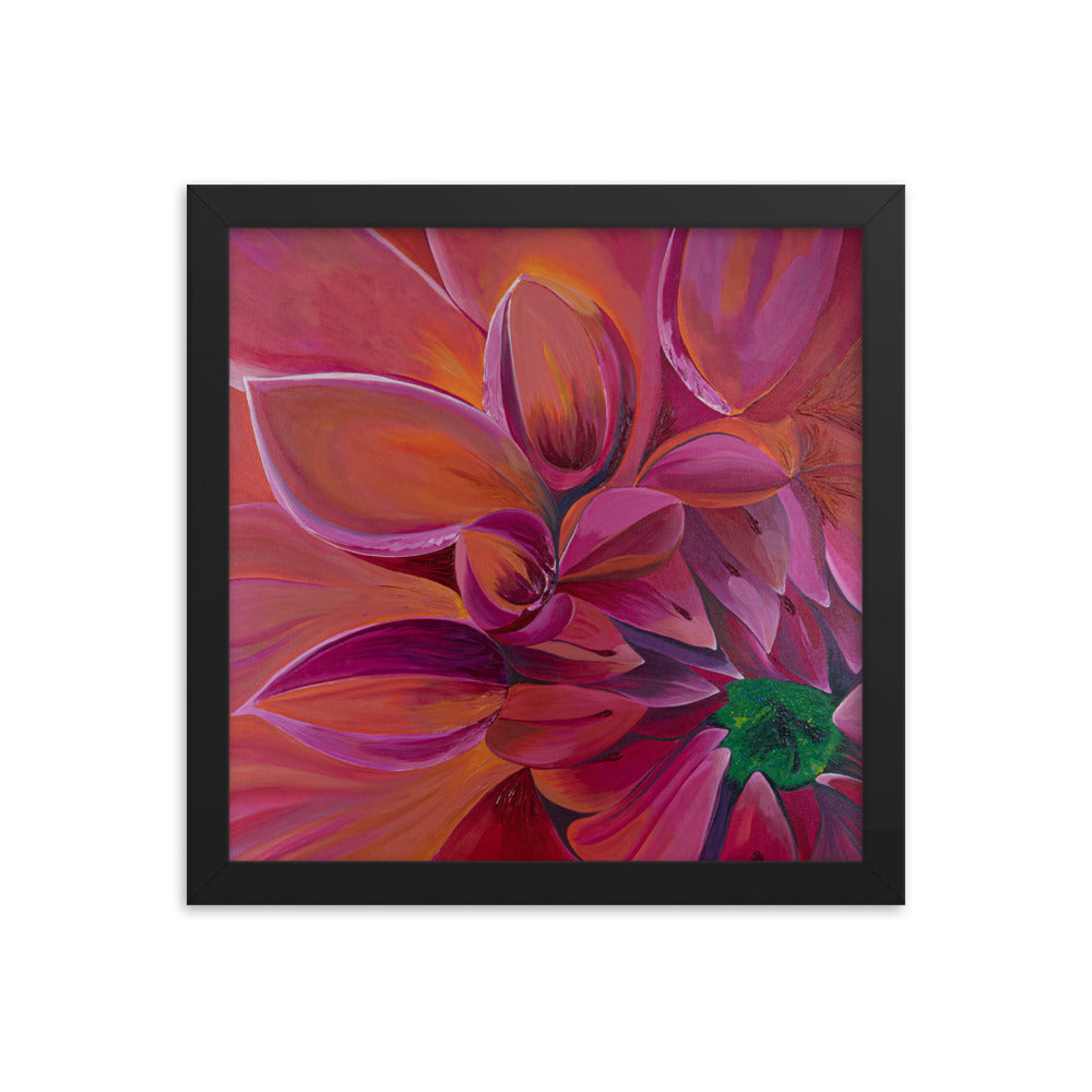 Framed Print - Pink Sunshine