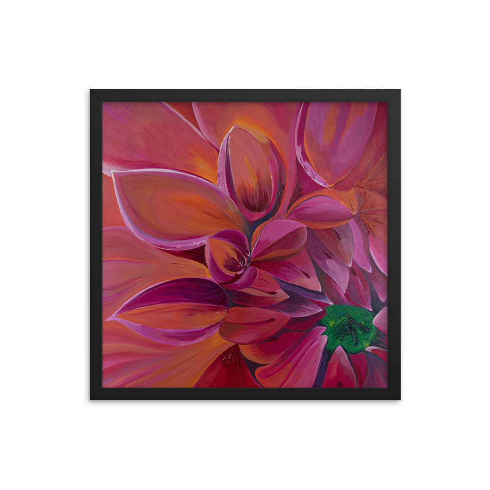 Framed Print - Pink Sunshine